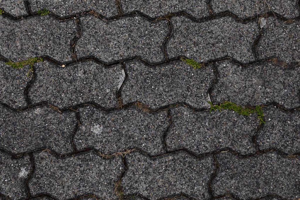 Verwittertes Pflaster mit Schwarzalge